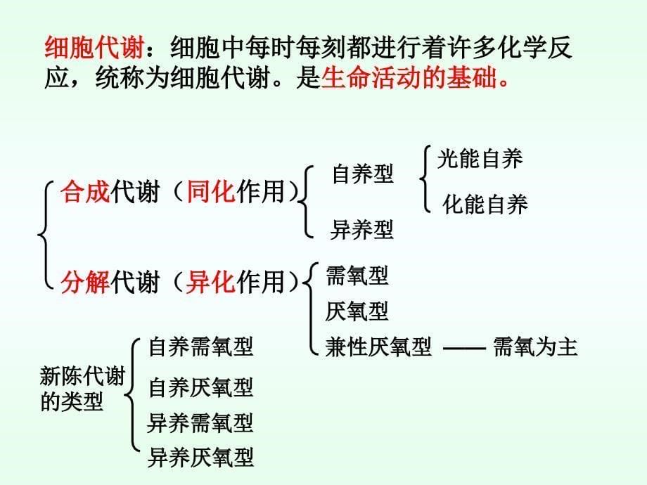 高三生物一轮复习-专题9-降低化学反应活化能的酶_第5页