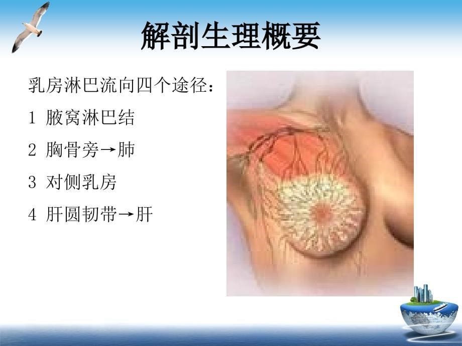 乳腺癌术后预防感染的护理_第5页