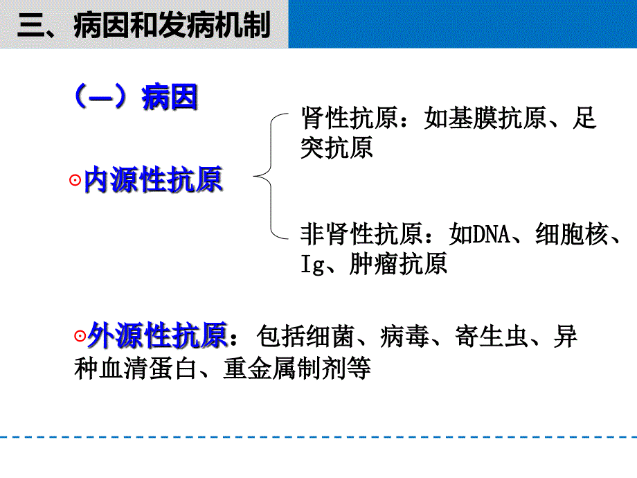 病理肾小球肾炎课件_第4页