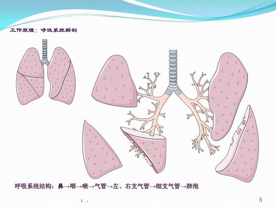 振动排痰仪ppt课件_第5页