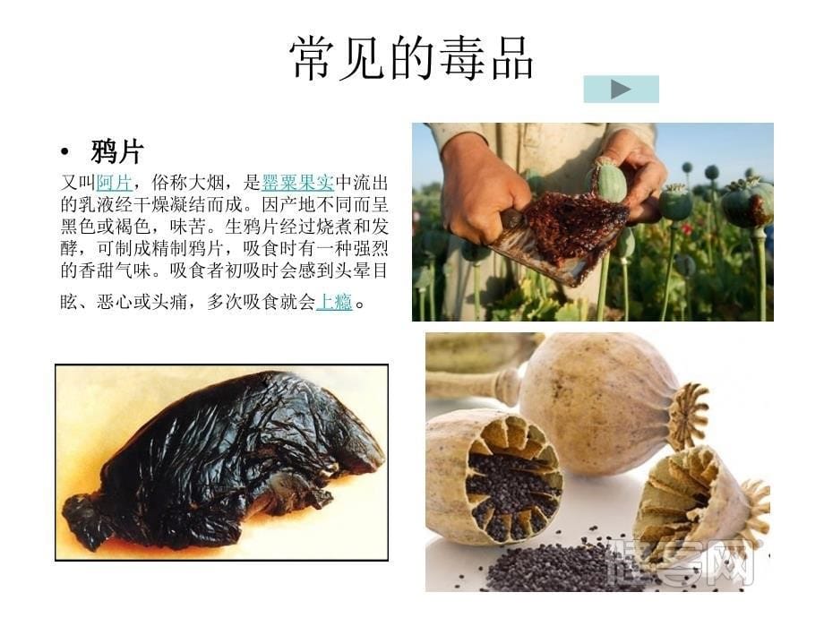 珍惜生命远离毒品_第5页