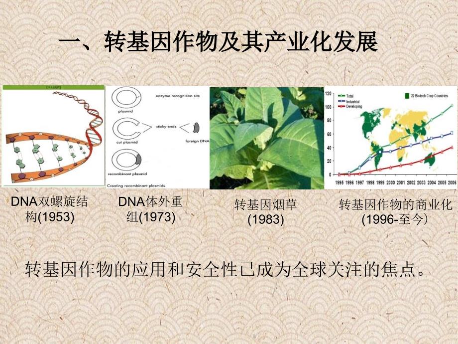 转基因抗病植物安全性_第2页