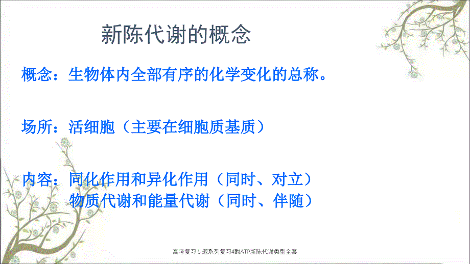 高考复习专题系列复习4酶ATP新陈代谢类型全套课件_第2页