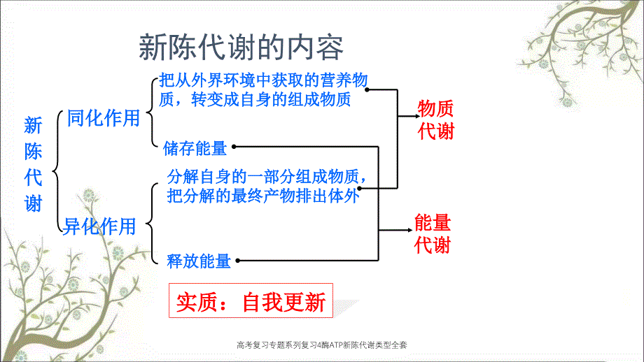 高考复习专题系列复习4酶ATP新陈代谢类型全套课件_第3页