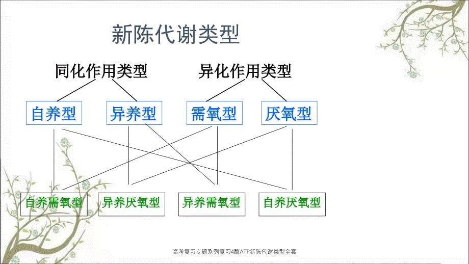 高考复习专题系列复习4酶ATP新陈代谢类型全套课件_第5页