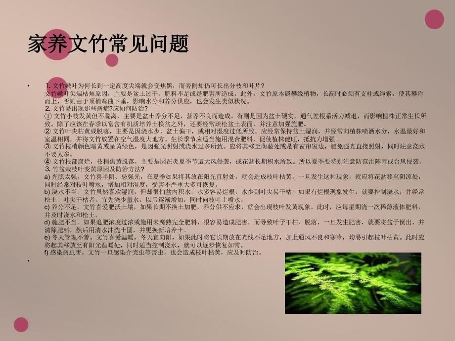 花的养殖方法PPT课件_第5页