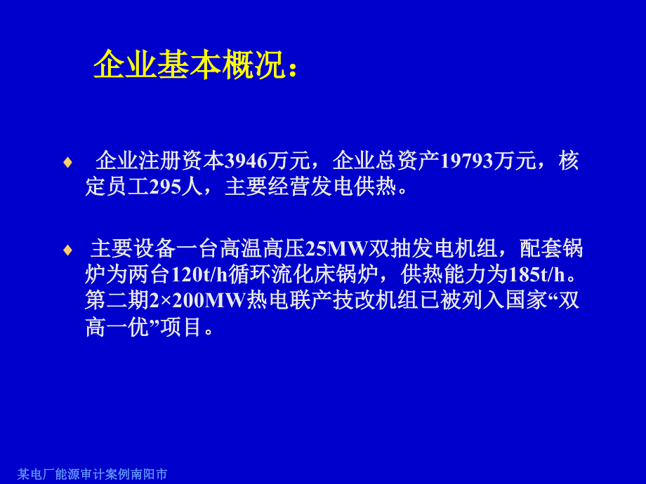 某电厂能源审计案例南阳市课件_第2页