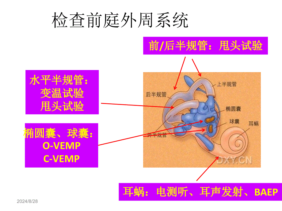 医学教学资料眩晕相关检查方法_第3页