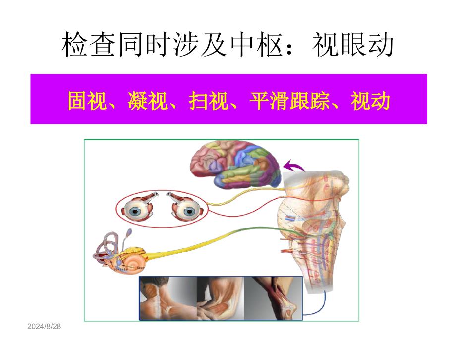 医学教学资料眩晕相关检查方法_第4页