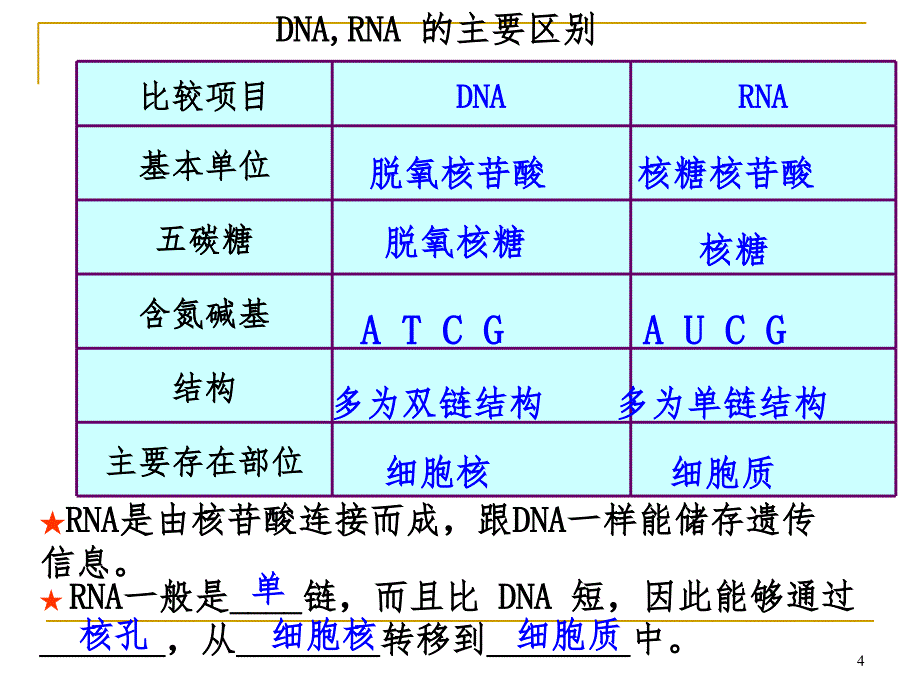 高中生物基因指导蛋白质的合成(课堂PPT)_第4页