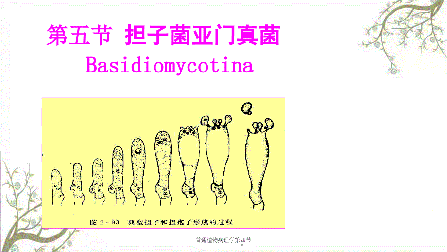 普通植物病理学第四节课件_第1页