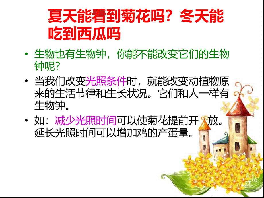 昼夜对动植物的影响课件_第4页