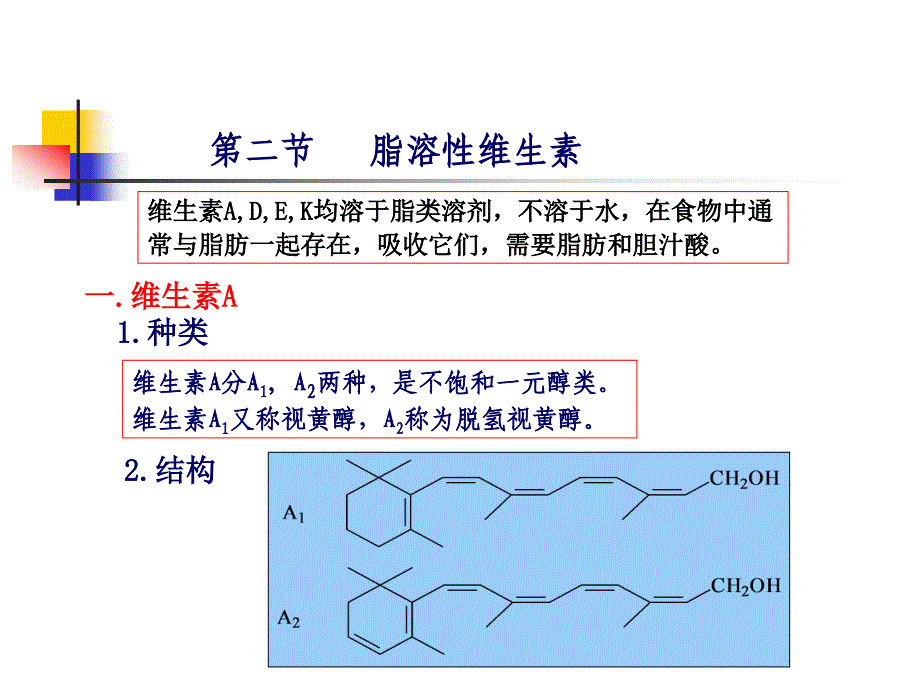 生化5第五章 维生素与辅酶_第4页