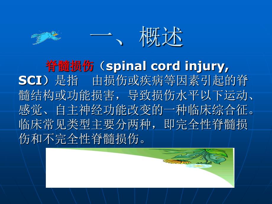 康复护理学》第5章常见疾病的康复护理脊髓损伤_第3页