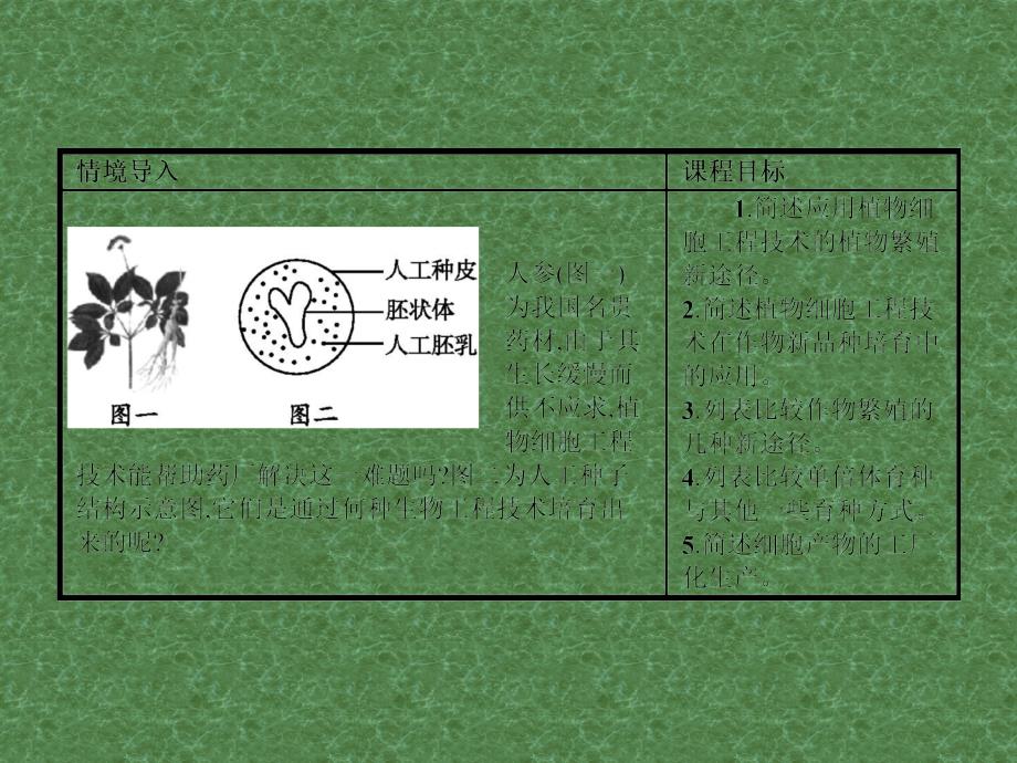 2017-2018学年高中生物 2.2 植物细胞工程的应用课件 苏教版选修3_第2页