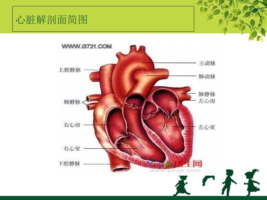 体外循环下二尖瓣置换手术的护理配合_第4页