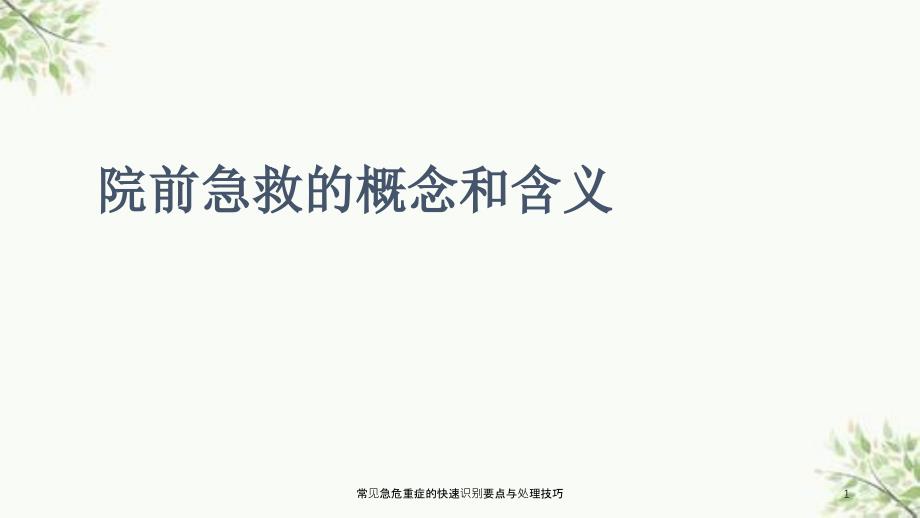 常见急危重症的快速识别要点与处理技巧课件_第1页