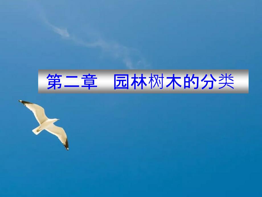 园林树木学ppt课件_第1页