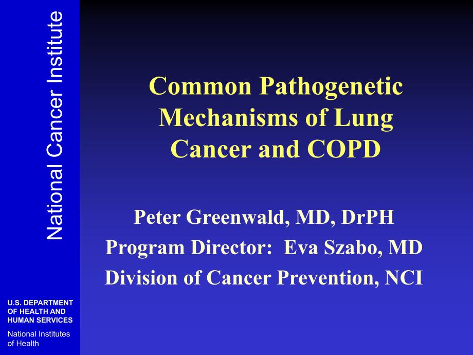 Common Pathogenetic Mechanisms of Lung Cancer and COPD_第1页