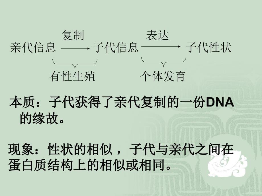 高中生物课件基因的表达_第3页