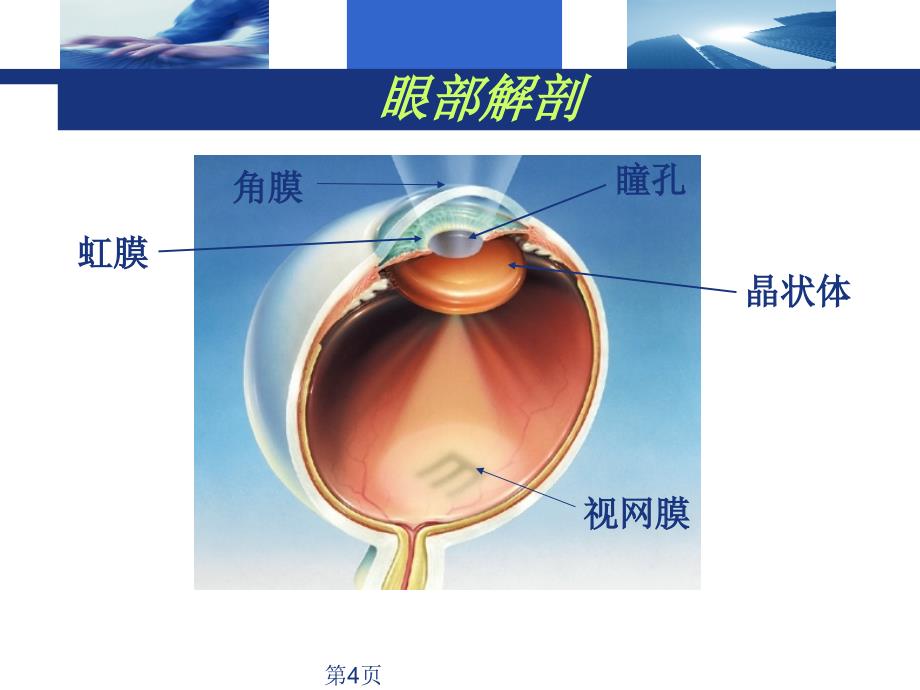 史上最详尽的眼科基础知识培训ppt课件_第4页