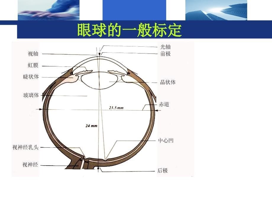 史上最详尽的眼科基础知识培训ppt课件_第5页