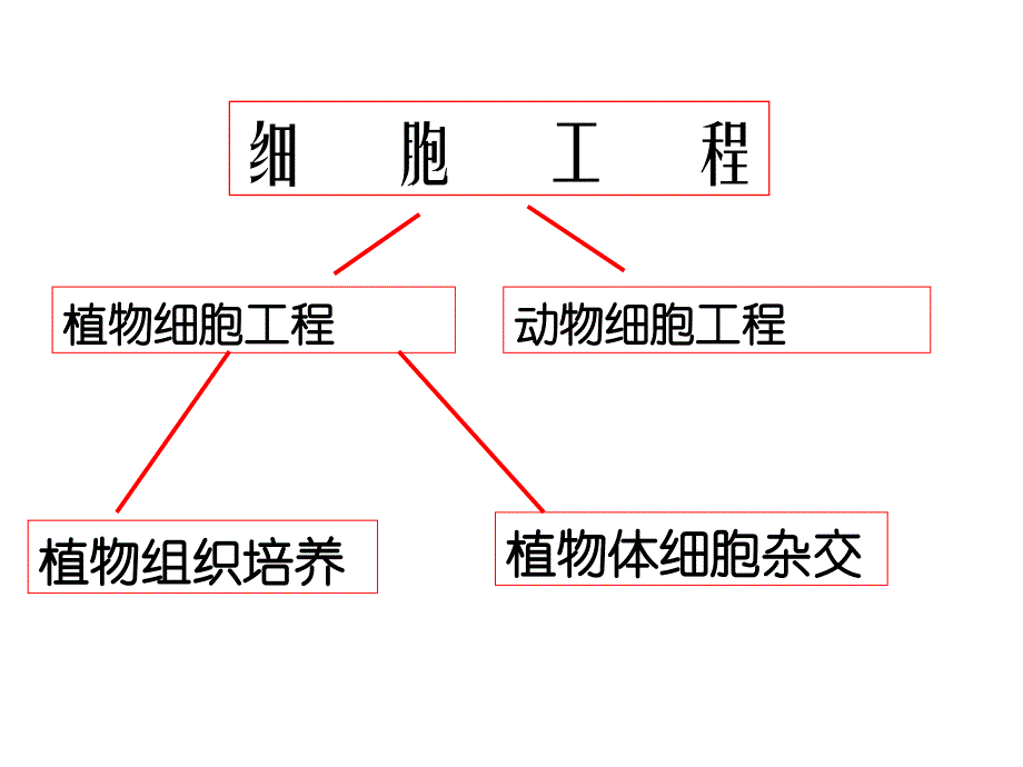 新课标人教版高中生物选修三专题二细胞工程精品课件_第3页