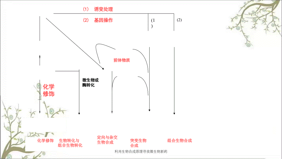 利用生物合成原理寻找微生物新药课件_第3页