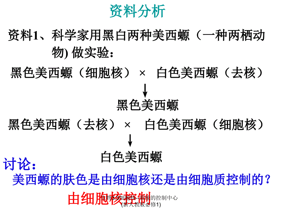 生物3.3细胞核系统的控制中心新人教版必修1课件_第4页