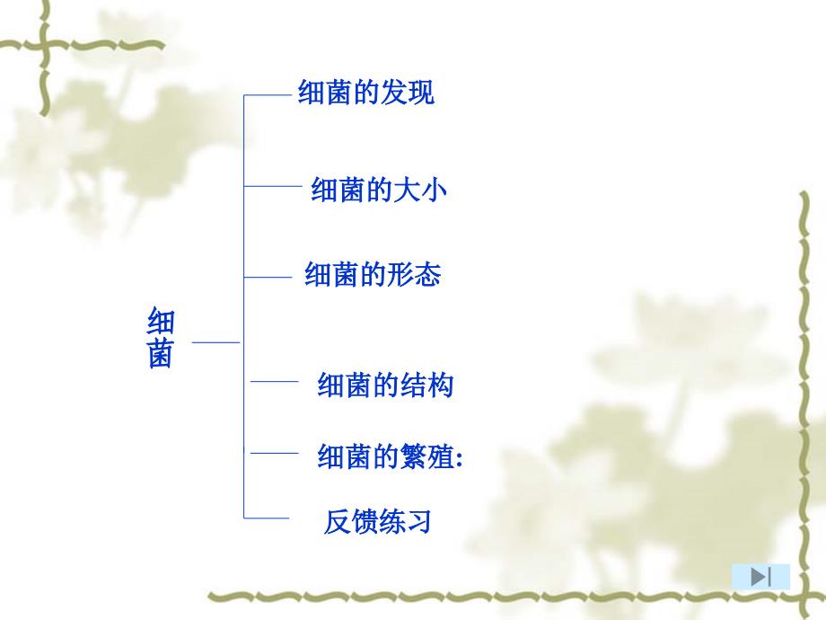 新人教第二节细菌xz_第2页