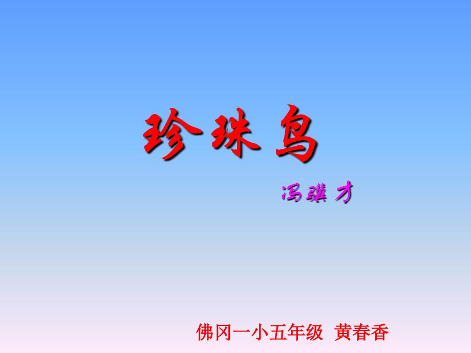 《珍珠鸟》课件_第1页