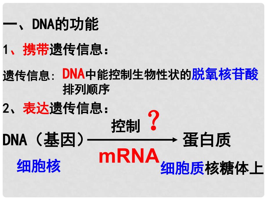 高中生物《遗传信息的表达— —RNA和蛋白质的合成》课件1 浙科版必修2_第2页