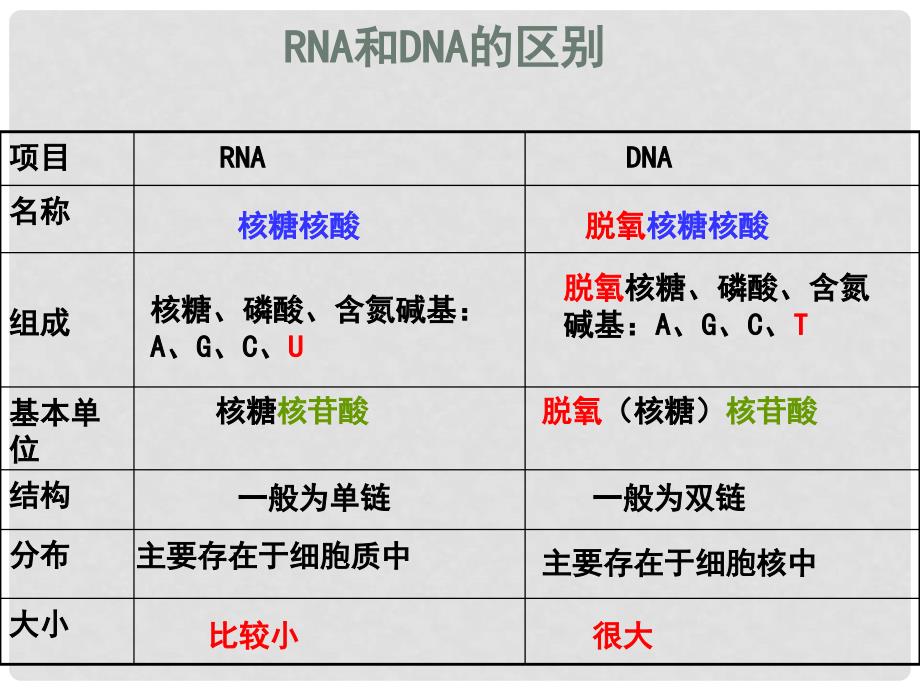 高中生物《遗传信息的表达— —RNA和蛋白质的合成》课件1 浙科版必修2_第4页