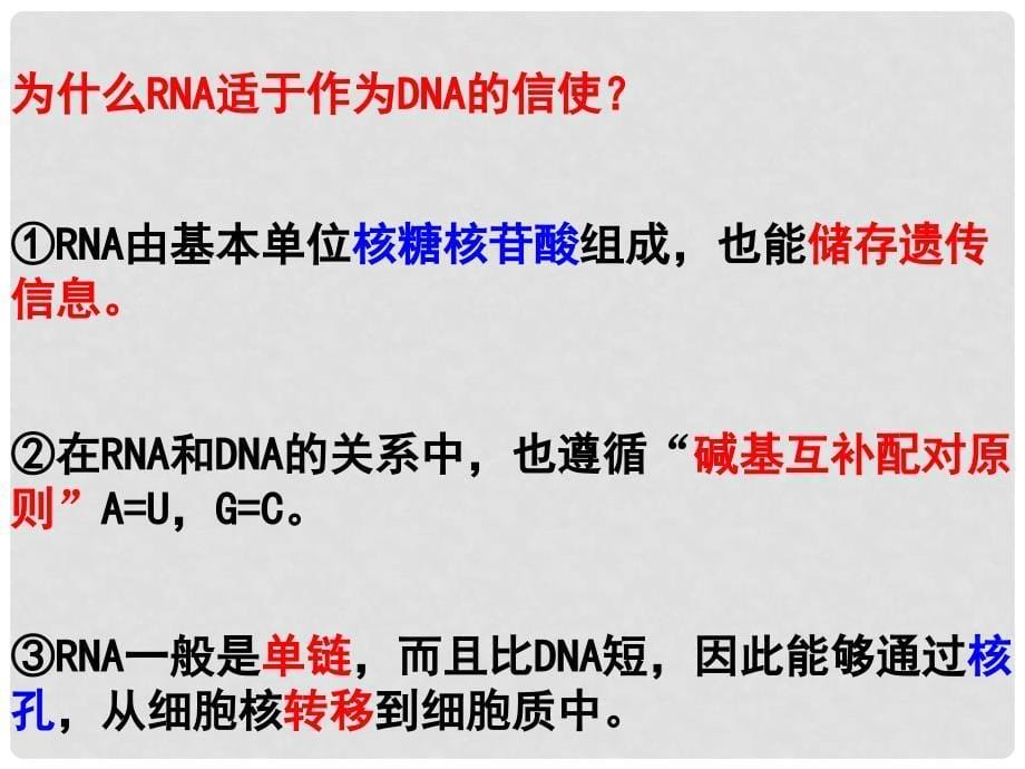 高中生物《遗传信息的表达— —RNA和蛋白质的合成》课件1 浙科版必修2_第5页