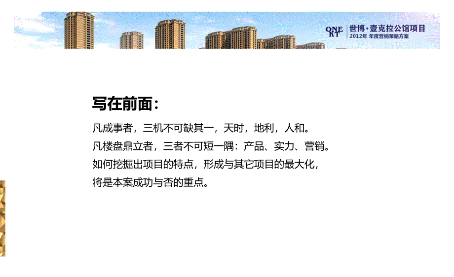 世博壹克拉公馆项目营销策略方案_第2页