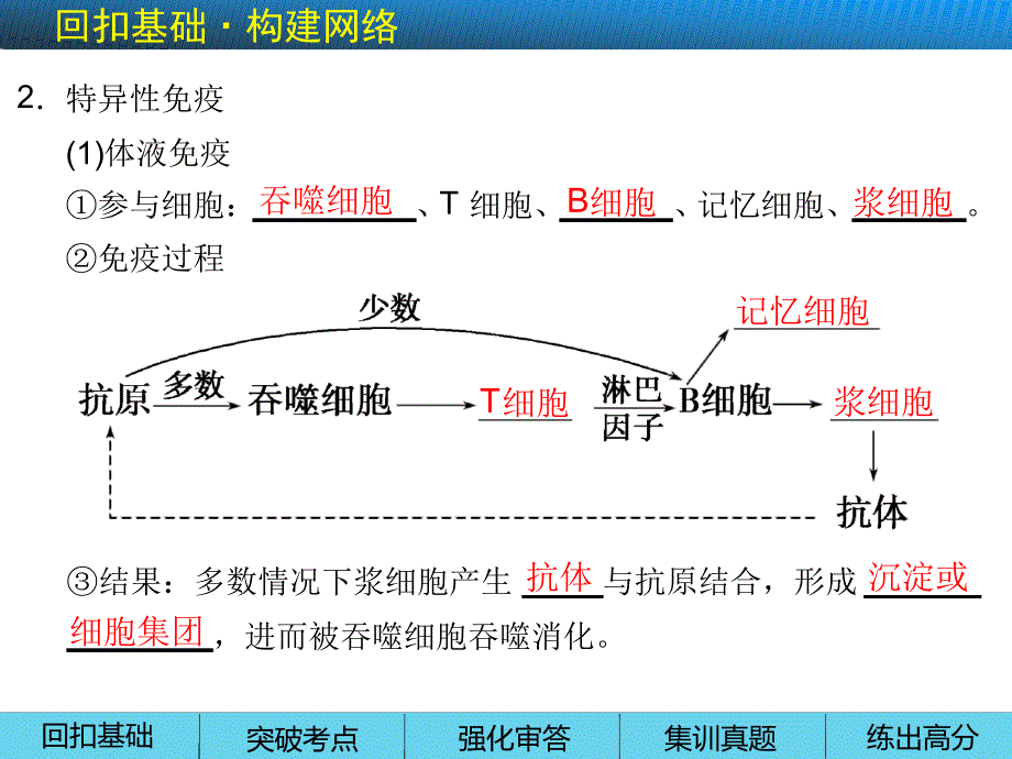 高考生物一轮复习第八单元生命活动的调节与免疫考第29讲免疫调节_第4页