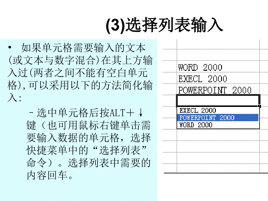 Excel输入文本技巧_第3页