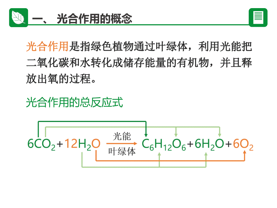 光合作用生物课程_第3页