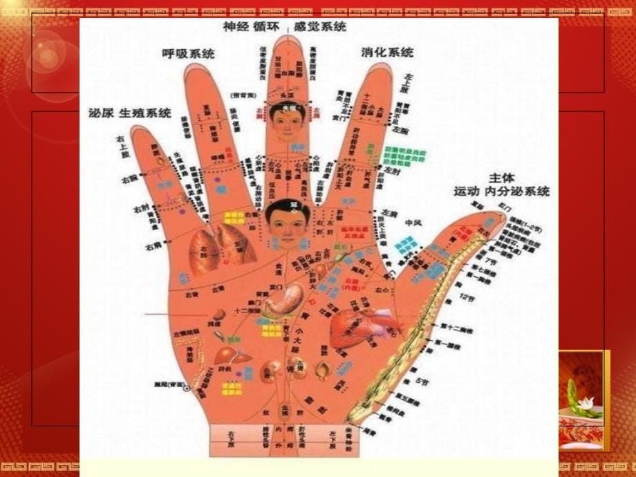 掌纹医学入门基础知识诊病与治病_第5页