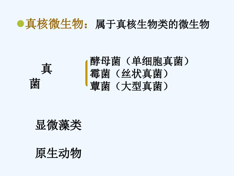 抗真菌抗病毒药_第2页