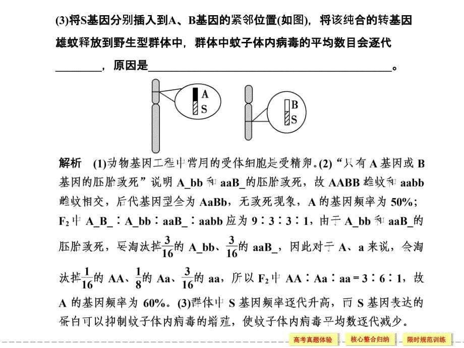 专题四遗传变异和进化第3讲生物的变异与进化课件_第5页