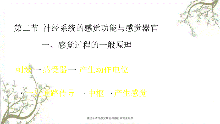 神经系统的感觉功能与感觉器官生理学_第1页