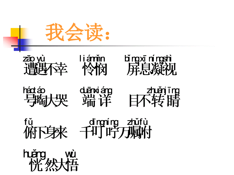 人教版四年级语文上册课件卡罗纳.ppt_第4页