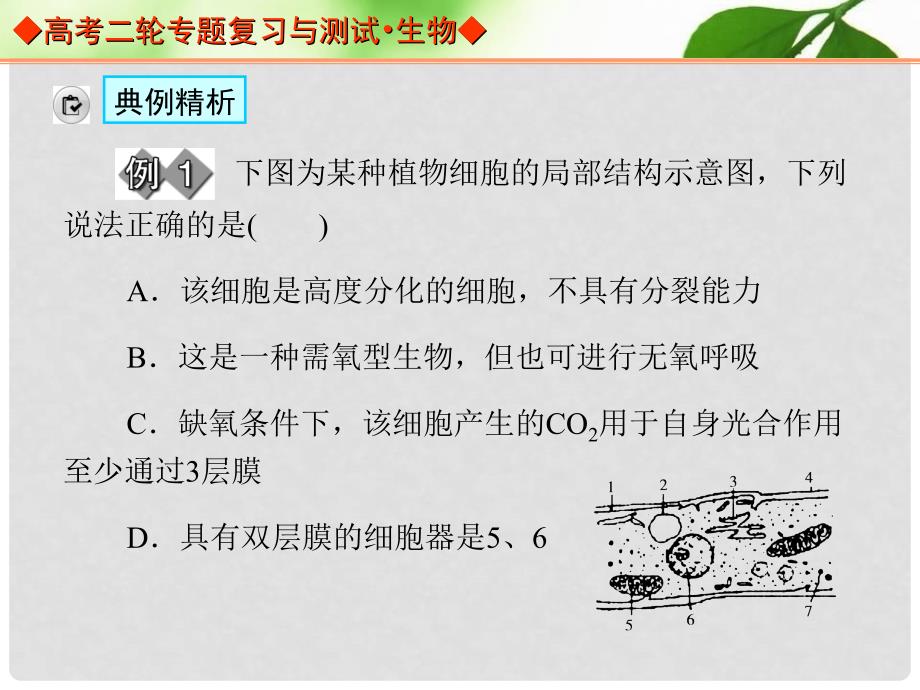 高考生物二轮专题复习与测试 专题二 第三讲 数据计算类课件_第4页