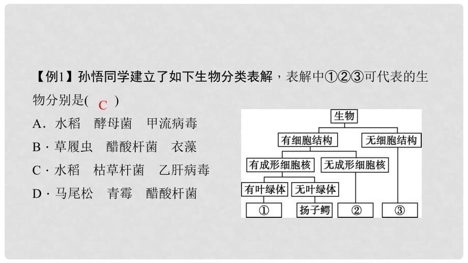 中考生物 第二轮 专题八 生物的多样性复习课件_第5页