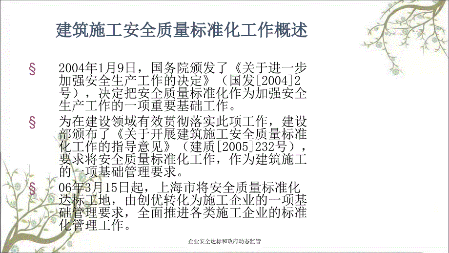 企业安全达标和政府动态监管PPT课件_第2页