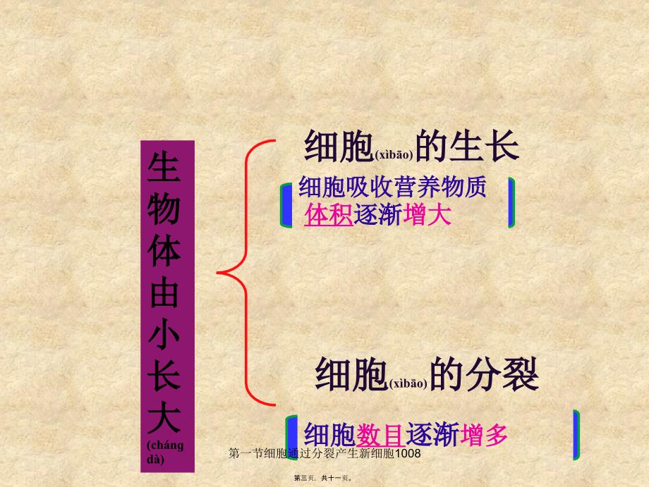 第一节细胞通过分裂产生新细胞1008课件_第3页