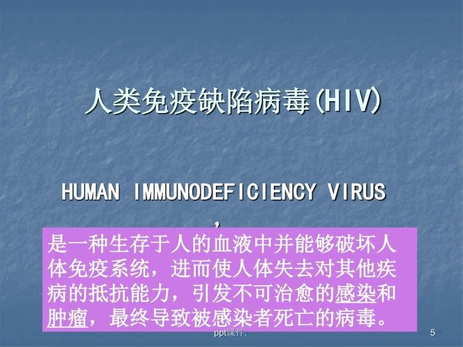 HIV狂犬V病毒ppt课件_第5页