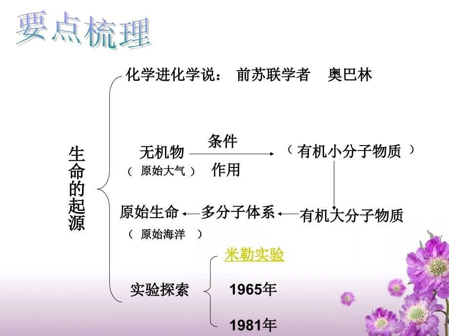 八年级生物下册生命的起源和进化课件济南版_第5页