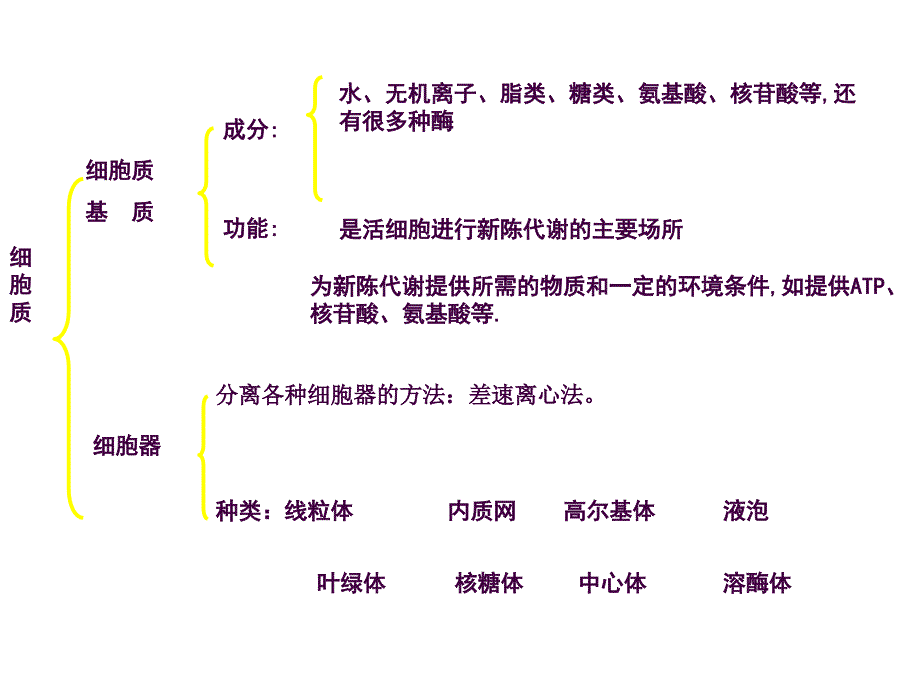 6细胞器和生物膜系统ppt课件_第2页